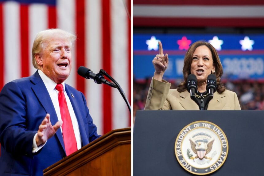 Nearly 25 Million Votes Cast as Trump, Harris Hit Battleground States